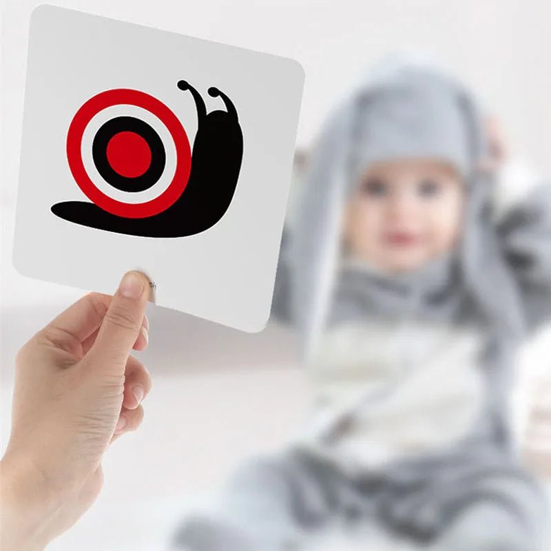 Montessori Baby Visual Stimulation Flash Cards - Tiny Explorers Club