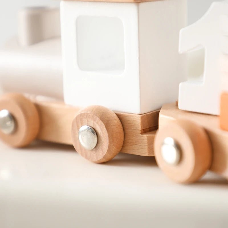Montessori Baby Wooden Bouncing Colour Recognition Toy - Tiny Explorers Club