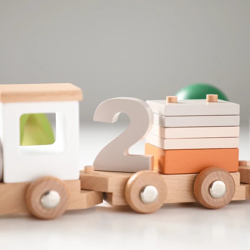Montessori Baby Wooden Bouncing Colour Recognition Toy - Tiny Explorers Club