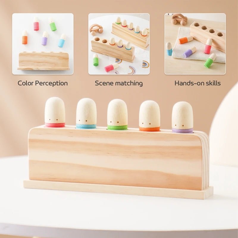 Montessori Baby Wooden Bouncing Colour Recognition Toy - Tiny Explorers Club