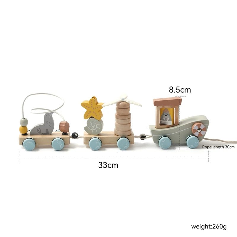 Montessori Baby Wooden Bouncing Colour Recognition Toy - Tiny Explorers Club