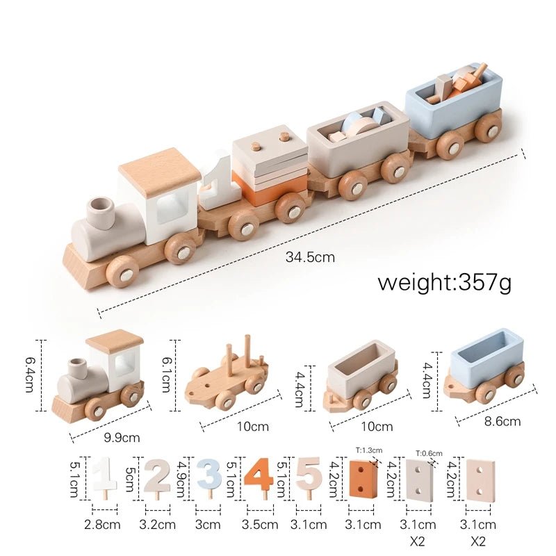 Montessori Baby Wooden Bouncing Colour Recognition Toy - Tiny Explorers Club