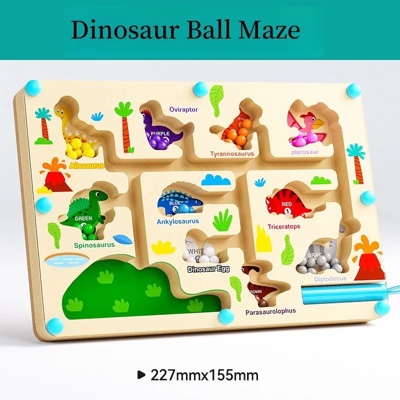 Montessori Magnetic Colour Sorting Maze - Tiny Explorers Club