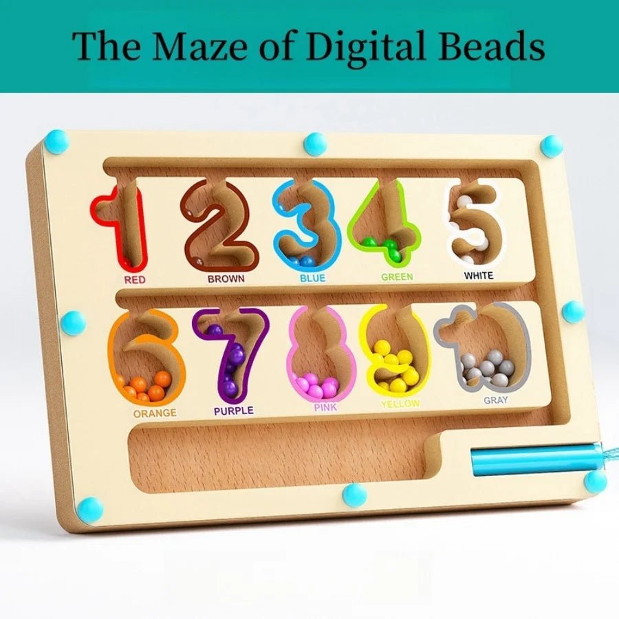 Montessori Magnetic Colour Sorting Maze - Tiny Explorers Club