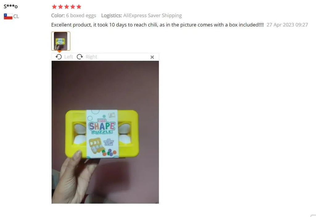 Toy Egg Shape Matching Puzzle - Tiny Explorers Club